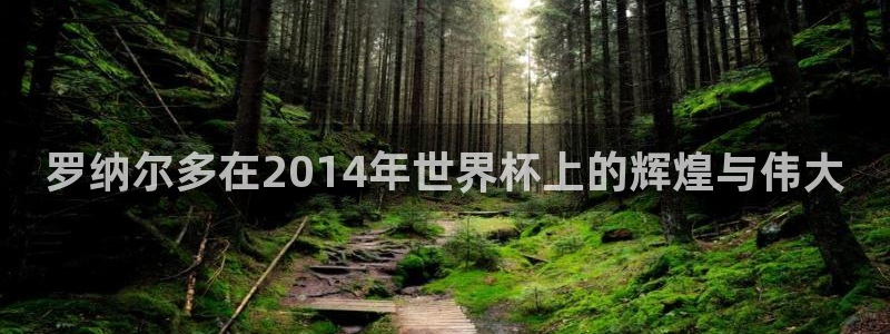 2026世界杯欧洲预选赛赛程表:罗纳尔多在2014年世界杯上的辉煌与伟大