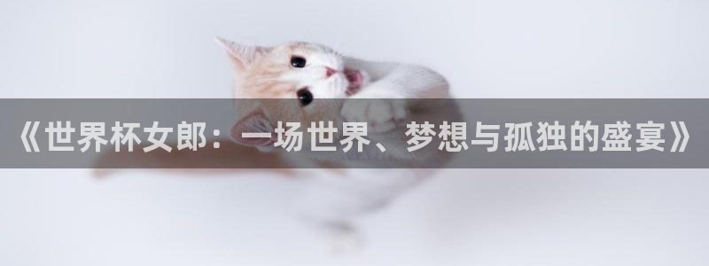 2026世界杯赛程表完整版:《世界杯女郎:一场世界、梦想与孤独的盛宴》