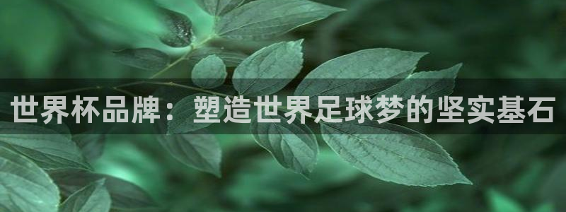 世界杯官网入口:世界杯品牌:塑造世界足球梦的坚实基石