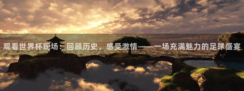2026世界杯德国队阵容:观看世界杯现场:回顾历史,感受激情——一场充满魅力的足球盛宴