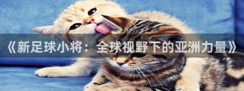 世界杯对阵表:《新足球小将:全球视野下的亚洲力量》