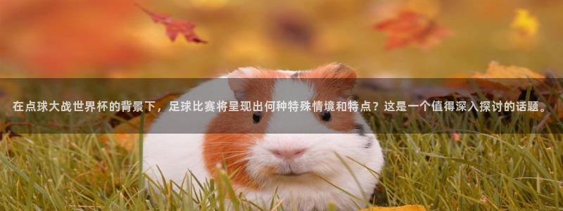 欧联杯直播:在点球大战世界杯的背景下,足球比赛将呈现出何种特殊情境和特点?这是一个值得深入探讨的话题。