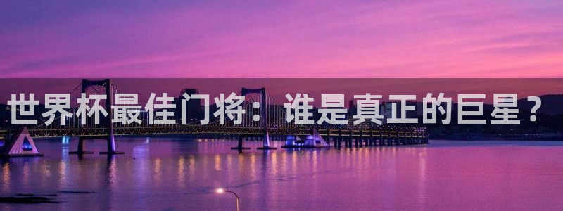 2026世界杯官网:世界杯最佳门将:谁是真正的巨星?