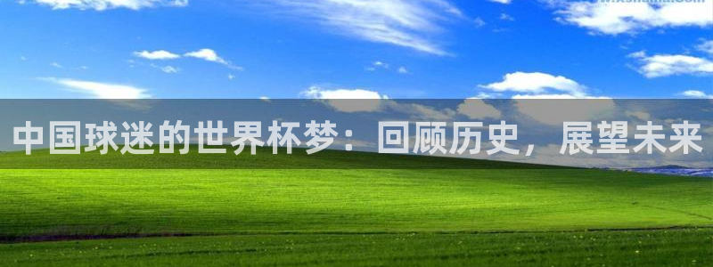 欧洲区世界杯预选赛:中国球迷的世界杯梦:回顾历史,展望未来