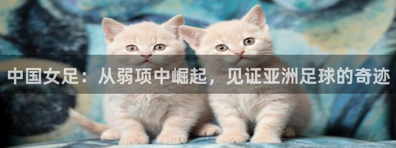 世界杯今日赛程直播:中国女足:从弱项中崛起,见证亚洲足球的奇迹